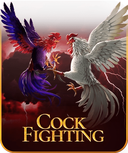 COCK FIGHTING